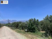 Sivas Professioneller Olivenhain in Anadasmos Siva– Gelegenheit zur landwirtschaftlichen Nutzung und Gewächshausprojekt Grundstück